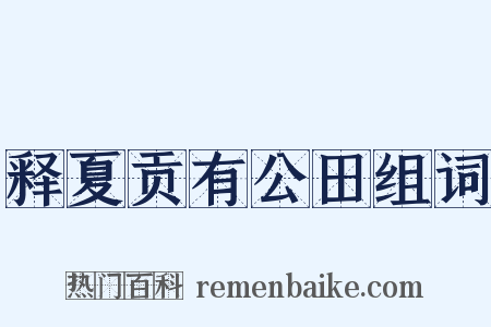 释夏贡有公田组词是什么意思的图片